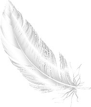 feather